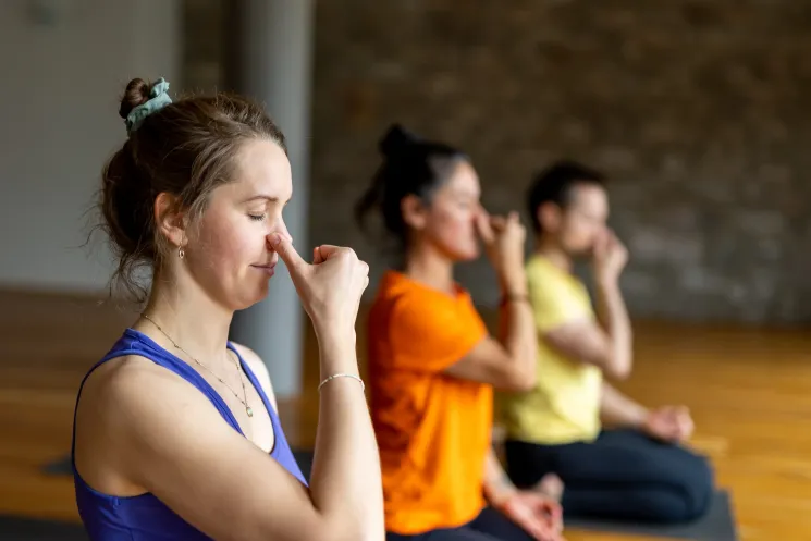 YOGA BASICS - Präventionskurs STUDIO  @ Ekatra Yogastudio Erfurt