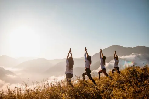 Vinyasa Yoga für Studierende - Kurs aus 5 Terminen ab dem 19. Nov. 2024 @ in touch Yoga