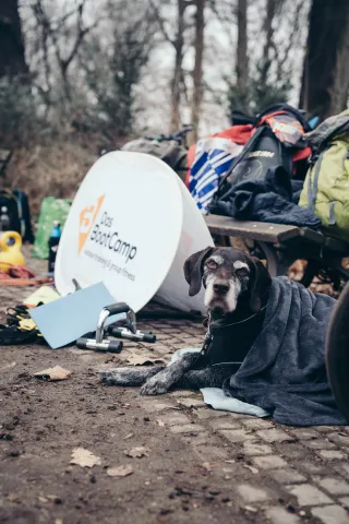 Dieser Anbieter hat keine Bildbeschreibung für dieses Bild hinterlegt