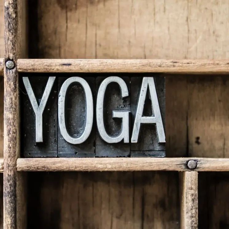 Gentle Yoga Flow - sanfter Hatha Yoga Kurs - Montag 19:30 Uhr - 8 Einheiten - 08.06.2026 bis 27.07.2026 (krankenkassenbezuschusst) @ Golden Yogaloft