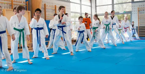 Cours Généraux - CADET/JUNIOR/SENIOR (12+ ans) - Nivelles(Vendredi) @ Sonbae Taekwondo Academy