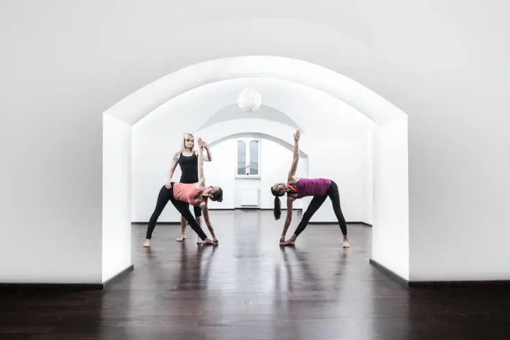 Technik 2 - Präventionskurs - online @ Ashtanga Yoga Institut München