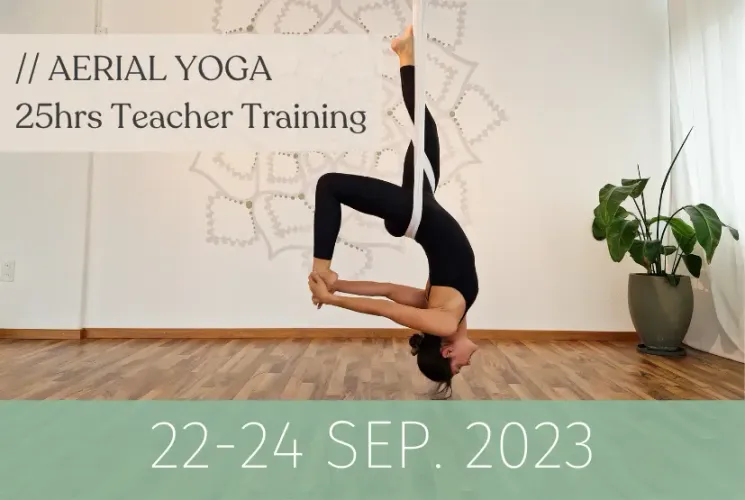 25hrs Aerial Yoga Teacher Training @ Bubble Yoga // Zürich