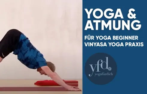 Dieser Anbieter hat keine Bildbeschreibung für dieses Bild hinterlegt