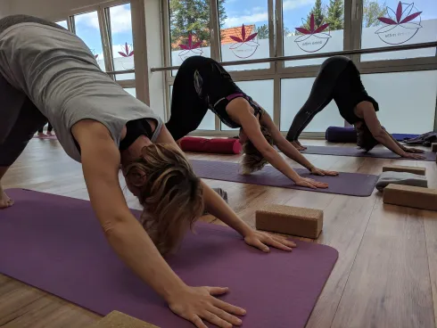 Vinyasa Yoga Anfänger Workshops @ Deine Mitte
