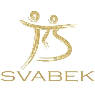 SVABEK Tanzschule GmbH