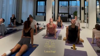 Dieser Anbieter hat keine Bildbeschreibung für dieses Bild hinterlegt