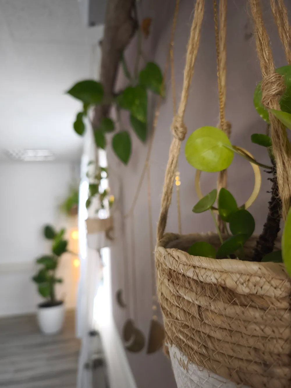 Mind & Body Atelier Ulm - Dr. Stefanie Rukavina