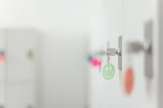 Dieser Anbieter hat keine Bildbeschreibung für dieses Bild hinterlegt