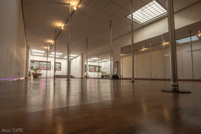 Fly & Flow Studio