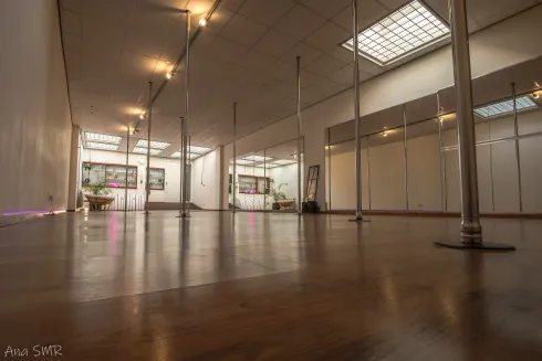 Fly & Flow Studio