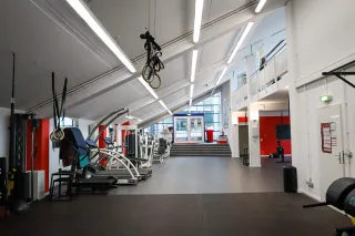 Dieser Anbieter hat keine Bildbeschreibung für dieses Bild hinterlegt