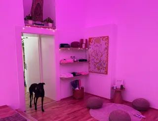 Dieser Anbieter hat keine Bildbeschreibung für dieses Bild hinterlegt