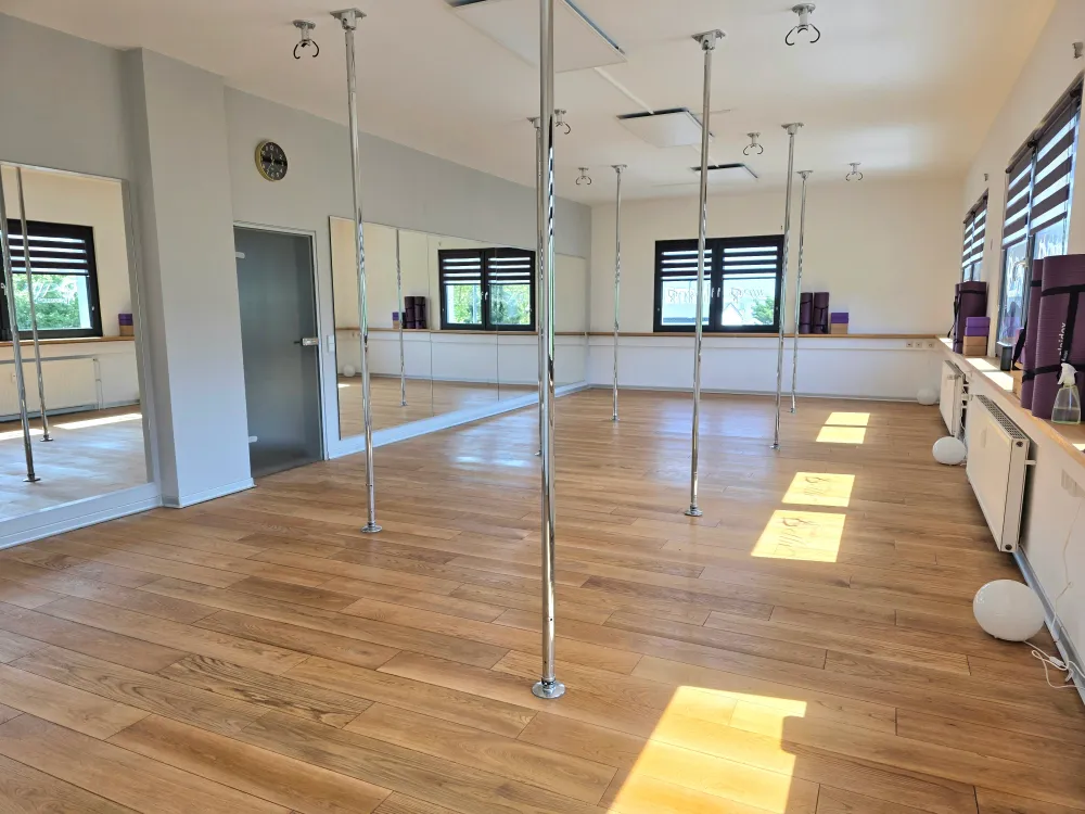 MJP Polesports Aerial Arts & Yoga