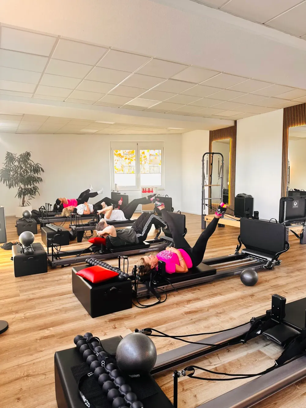 No1 Physio &Reformer Pilates Wolff