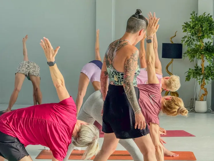 Janardana Yogalehrer Ausbildung Modul 1: Die Form & Das Fundament (Ashtanga Yoga Basis) @ Janardana Yoga ZPP zertifiziert (Krankenkassenzulassung)