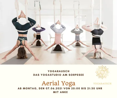 Aerial Yoga @ Yogarausch Yogastudio