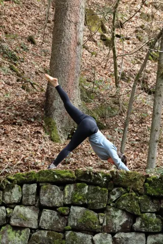 Dieser Anbieter hat keine Bildbeschreibung für dieses Bild hinterlegt