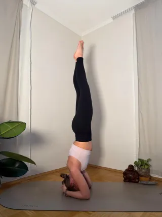 Dieser Anbieter hat keine Bildbeschreibung für dieses Bild hinterlegt