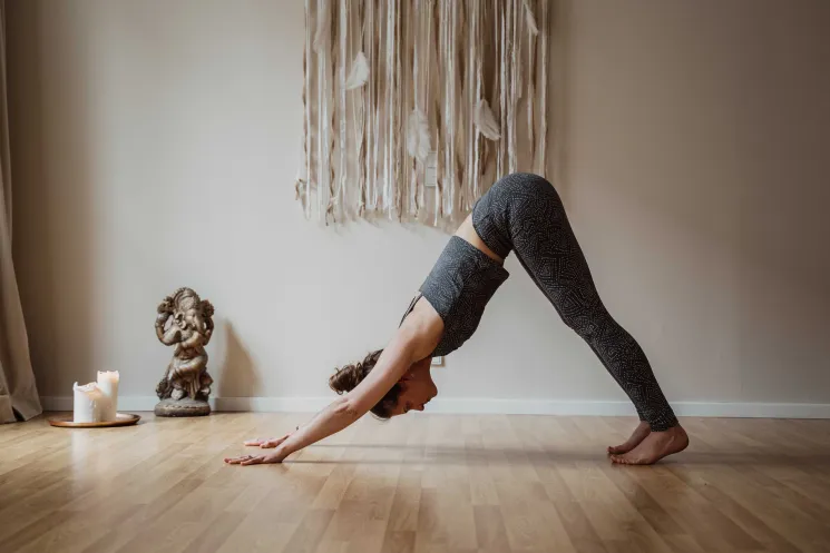 Präventionskurs: Yoga für Anfänger und Wiedereinsteiger  @ Yoga Vidya Bamberg