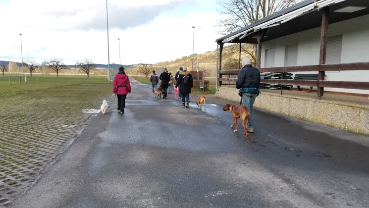Leinenführigkeit Beginner Kurs Wü @ Martin Rütter Hundeschule Würzburg und Main-Tauber-Kreis
