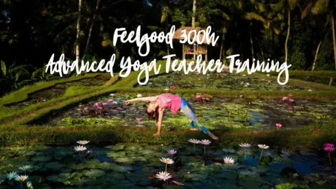 Feelgood YTT Modul 8: Die Weisheit des Yoga - Philosophie, Chanting und Pranayama @ YogaCollege Feelgoodstudio 1150 " Heat / Tejas "