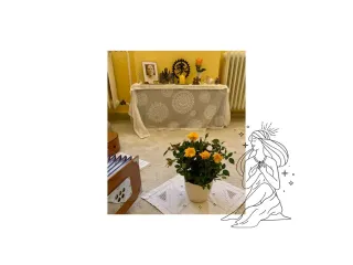 Dieser Anbieter hat keine Bildbeschreibung für dieses Bild hinterlegt