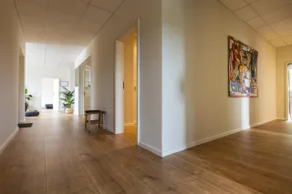 Dieser Anbieter hat keine Bildbeschreibung für dieses Bild hinterlegt
