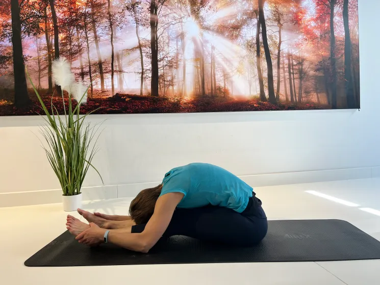 Pilates ONLINE @ MORE ENERGY - ganzheitlich gesund