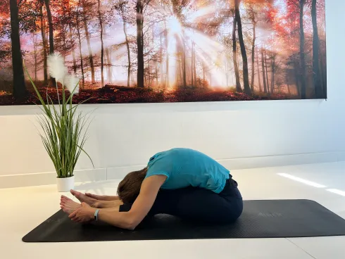 Pilates ONLINE @ MORE ENERGY - ganzheitlich gesund