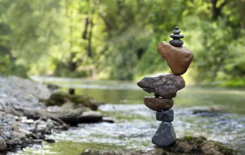 Wald tut gut - Hatha Yoga im Teutoburger Wald Präventionsreise @ Pilates Yoga Massagen Melanie Günther