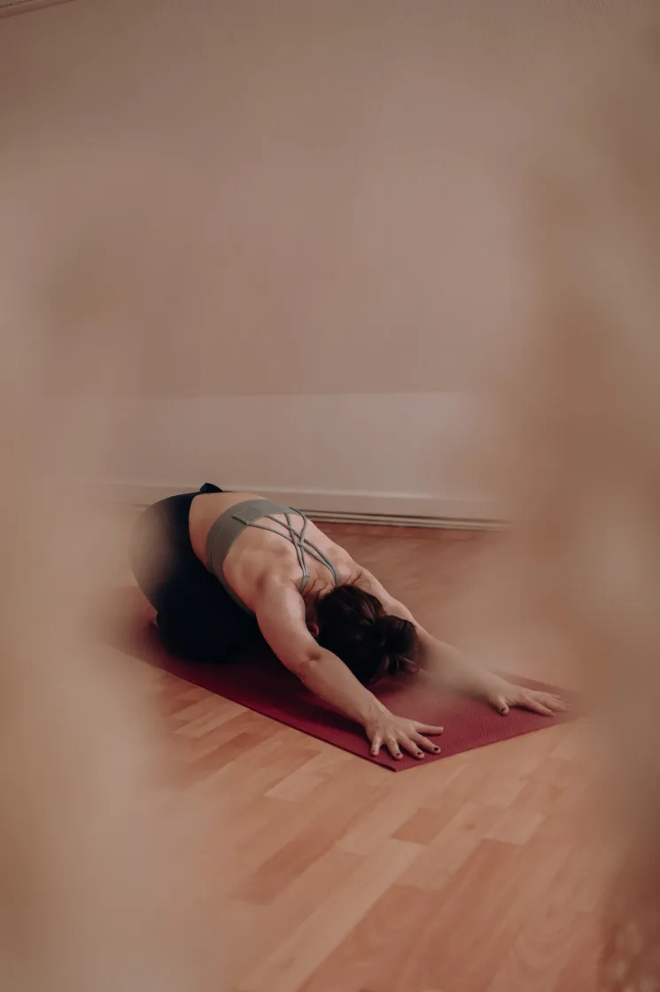 Hatha Yoga für Einsteiger:innen (Präventionskurs) @ youyoga Rostock