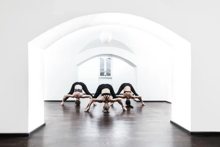 Online - Traditional Led Class / Half and Full Primary @ Ashtanga Yoga Institut München