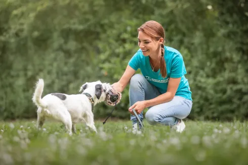 De locatie heeft geen afbeeldingsbeschrijving voor deze afbeelding opgegeven