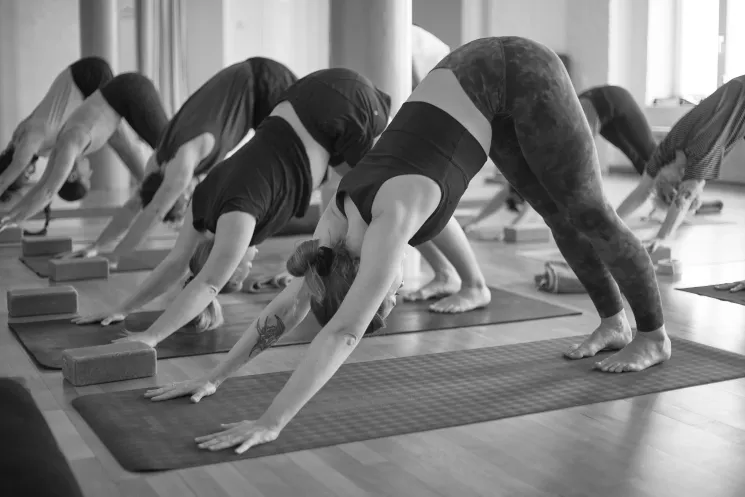 LIVE-STREAM: Jivamukti 🧘🏾♀️Power Lunch Open60🇬🇧 - THREE BOONS YOGA @ Three Boons Yoga Berlin f.k.a. Jivamukti Yoga Berlin