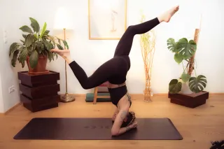 Dieser Anbieter hat keine Bildbeschreibung für dieses Bild hinterlegt