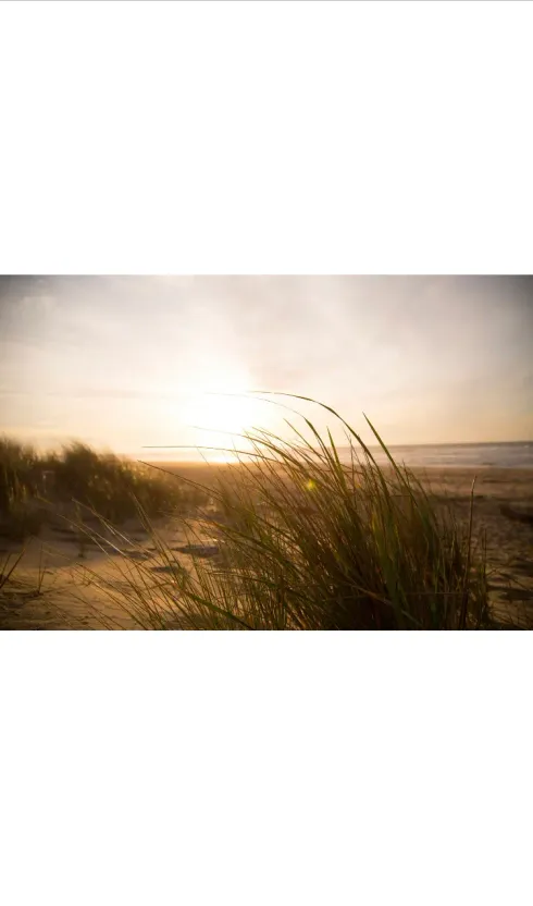 Somatic Summer Reset Evening Retreat @ The YOGA Studio