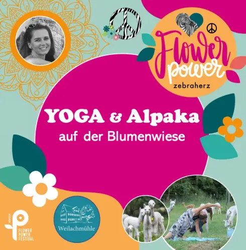Yoga & Alpaka auf der Blumenweide an der Weilachmühle  @ zebraherz