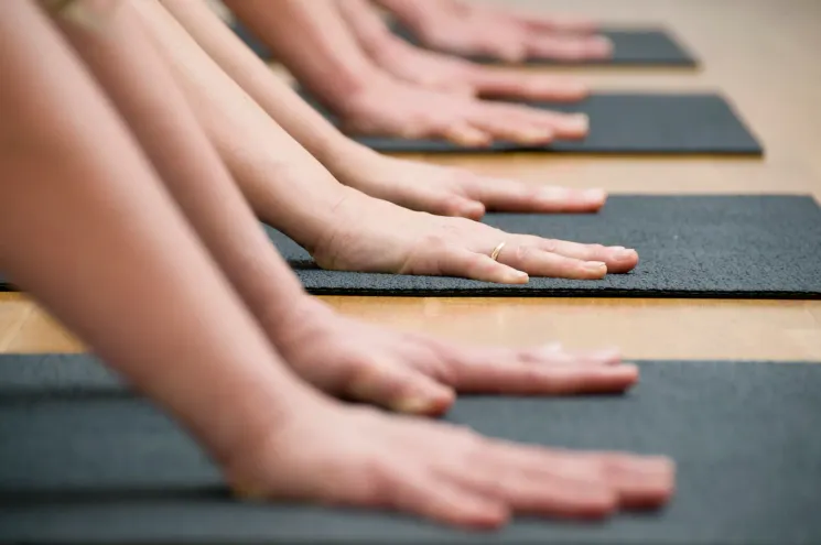 Zoom - Herbst Yoga-Camp 2024 @ Yoga-Haus Dortmund