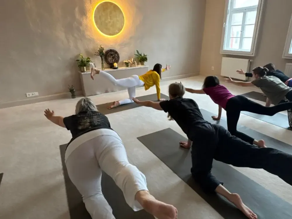 Yoga Vidya Bayreuth
