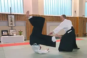 Aikido-Lehrgang mit Stefan Leiendecker (6. Dan) @ JCAH e.V.