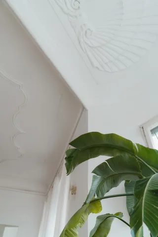 Dieser Anbieter hat keine Bildbeschreibung für dieses Bild hinterlegt