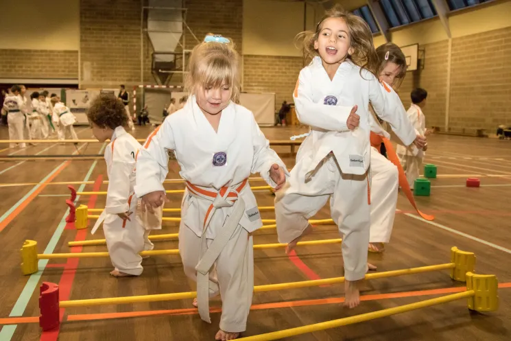 Cours Généraux - PUPILLE/DEBUTANT/MINIME (6 à 12 ans) - Frasnes @ Sonbae Taekwondo Academy