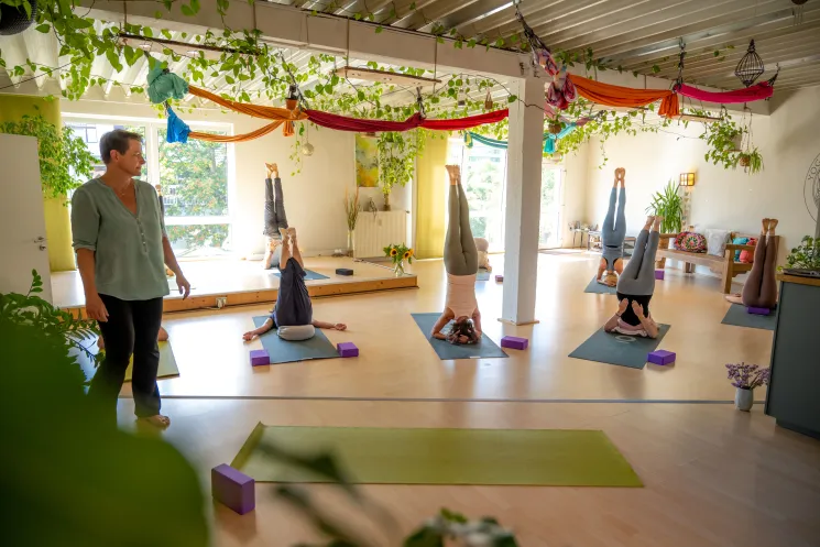Yoga für den Rücken ONLINE @ Yoga Atelier Bonn