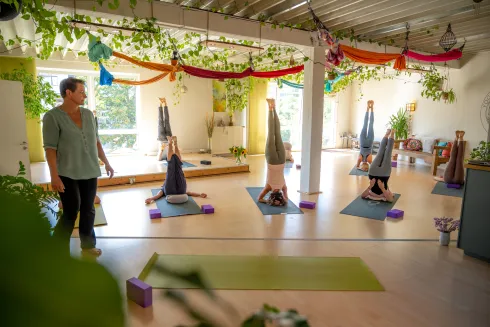 Yoga für den Rücken ONLINE @ Yoga Atelier Bonn