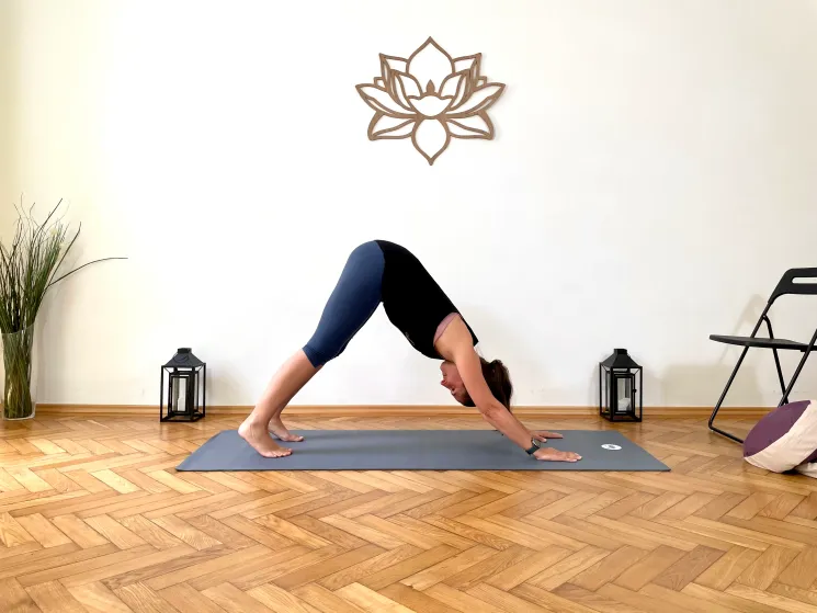 Grundkurs für Anfänger 26.11.25 @ Cozy Yoga
