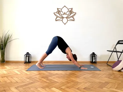 Grundkurs für Anfänger 26.11.25 @ Cozy Yoga