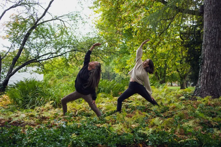 Krankenkasse - Flow ins Wochenende - Hatha Flow @ Wolf Pack Yoga