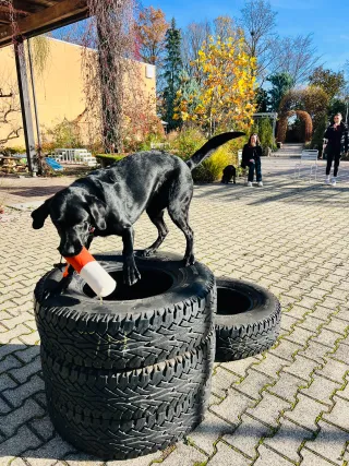 Dieser Anbieter hat keine Bildbeschreibung für dieses Bild hinterlegt