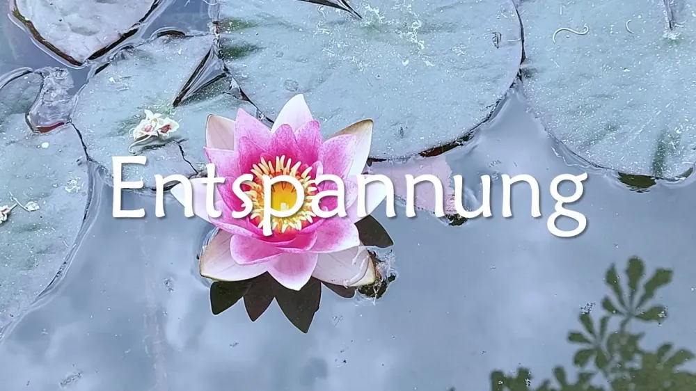 Gesundheitsweg Yoga, Pilates & Entspannung